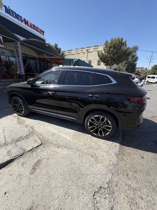 Byd chempion  sotialdi