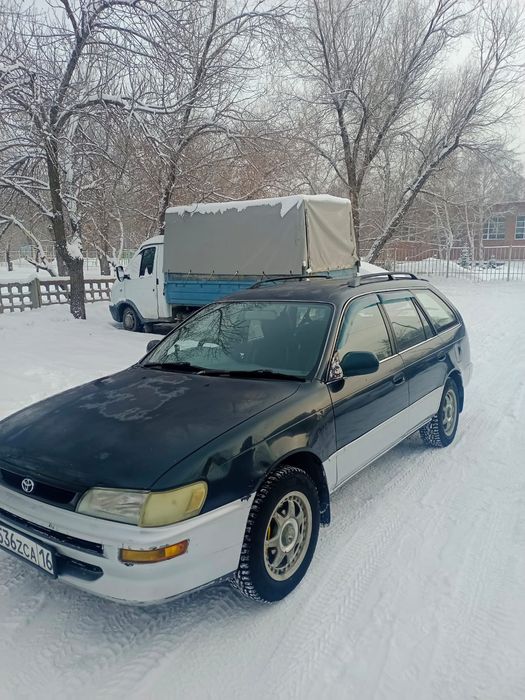 Тайота Королла..