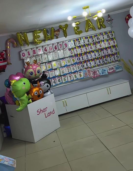 Готовый бизнес Шары