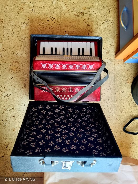 Детски акордеон 4+