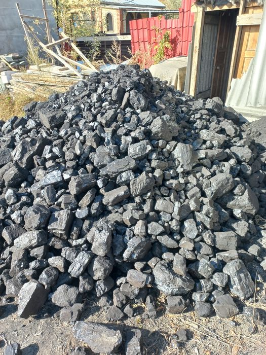 Уголь  Шубаркуль отборный сортовой