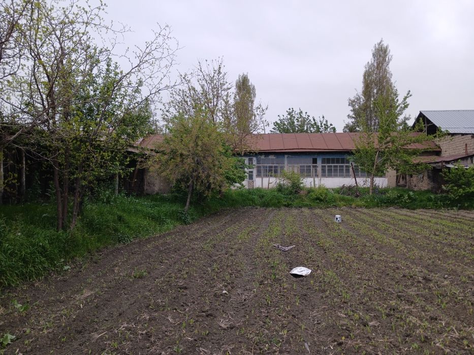 Uy joy hovli uchastka sotiladi