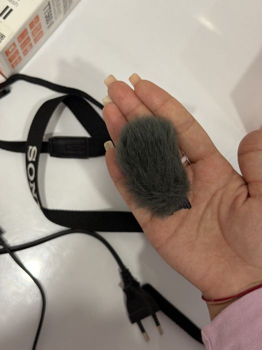 Камера SONY ZV-E10