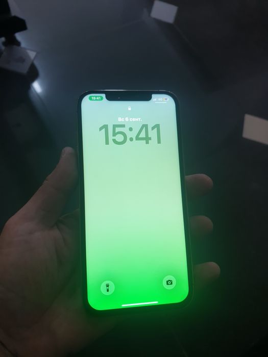 Iphone 12 pro max 256 gb