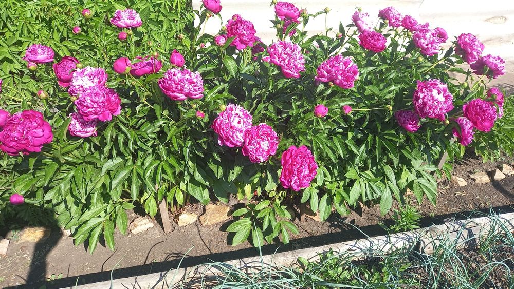 Продам дачу по Зерендинский трассе