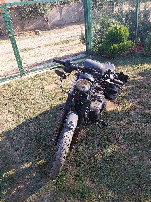 Harley Davidson iron 883