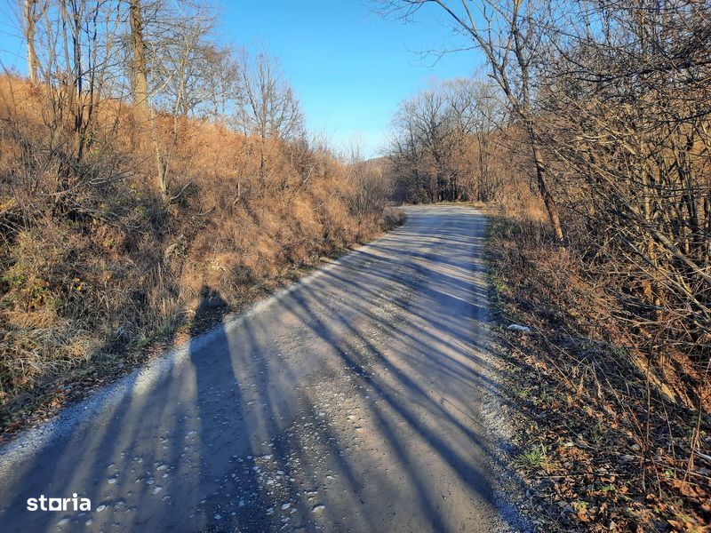 Terenuri intravilane Șinca Nouă 17.756 mp - licitatie insolventa