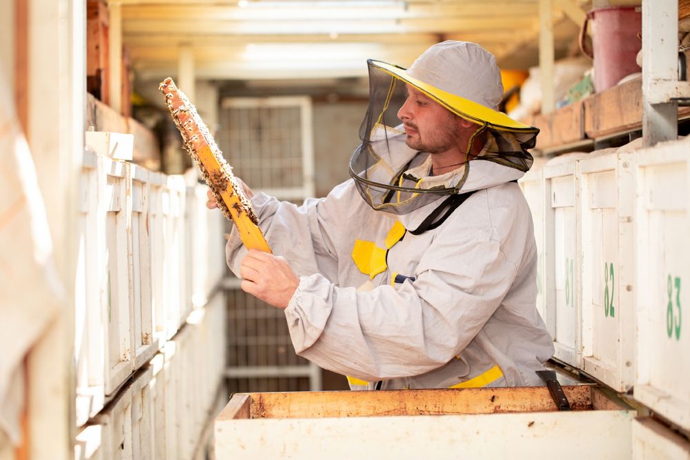 Мёд Доставка Самовывоз