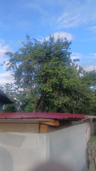 Vînd casă la țară în argeș tel 0733606930