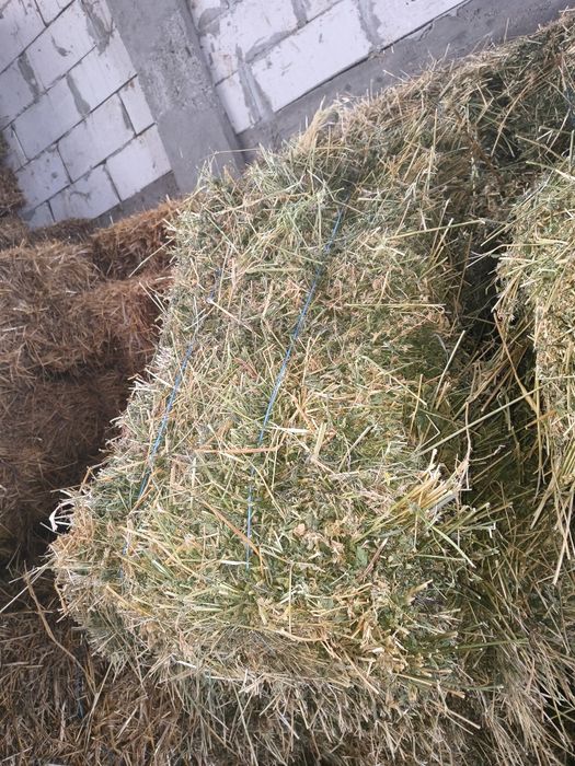 De vânzare baloți lucerna și paie