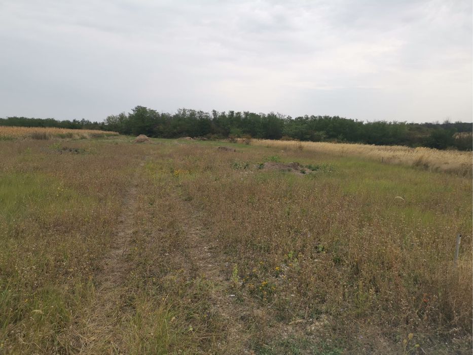 Teren Albota, intravilan + extravilan - 4600 mp