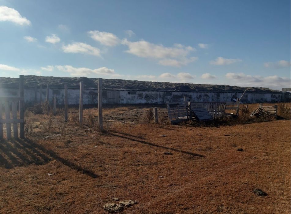 Продам животноводческую базу