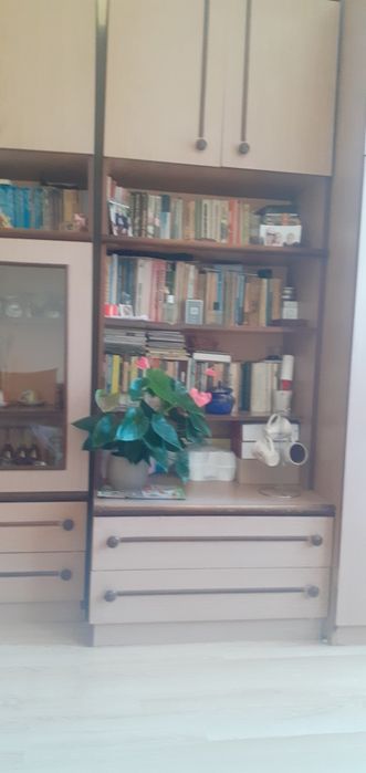 Секция за хол или спалня