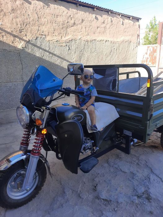 Муравей келишилади