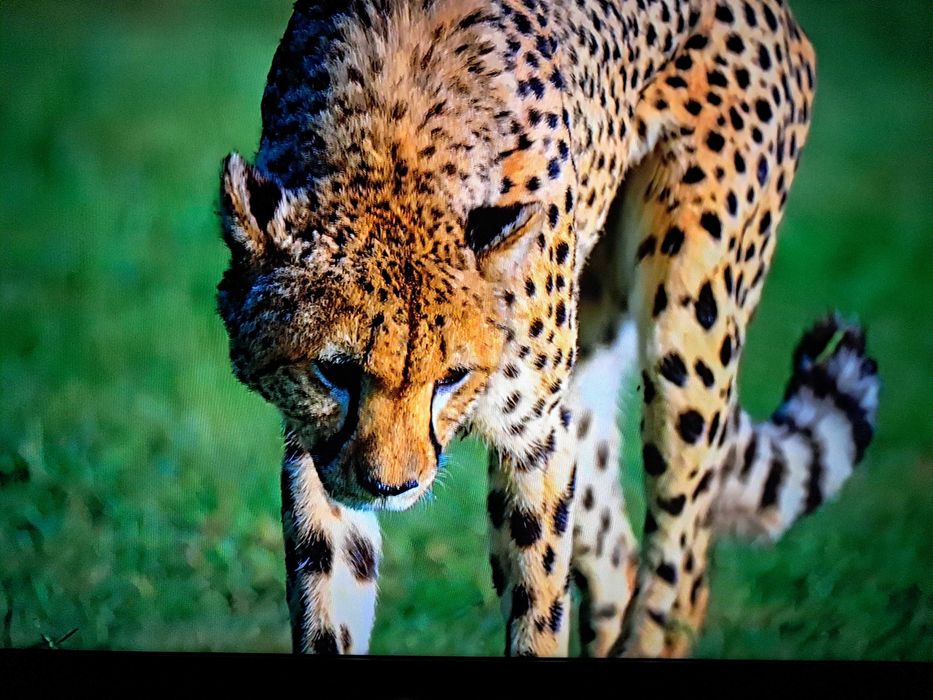 Телевизор панасоник 32 " 82см диагонал смарт