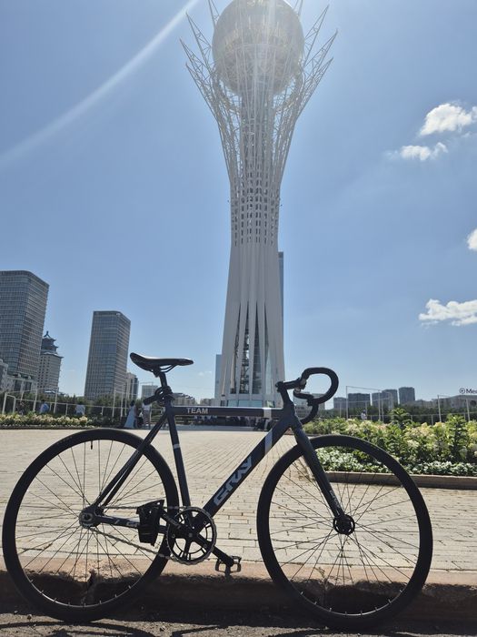 Fixed gear gray team