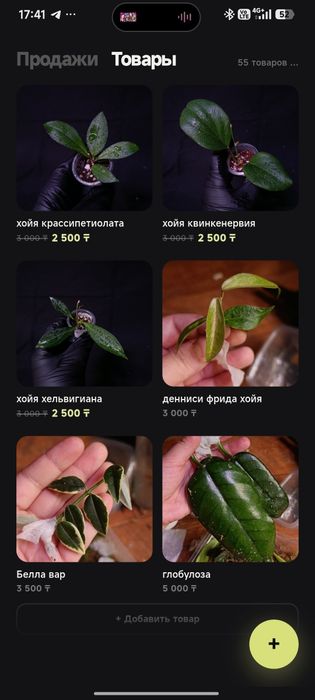 Хойи в ассортименте