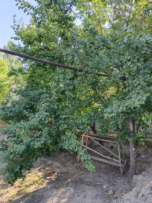 Тез прада Уй сатылады!