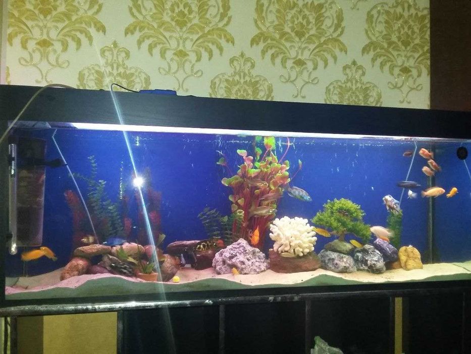 Продаётся аквариум