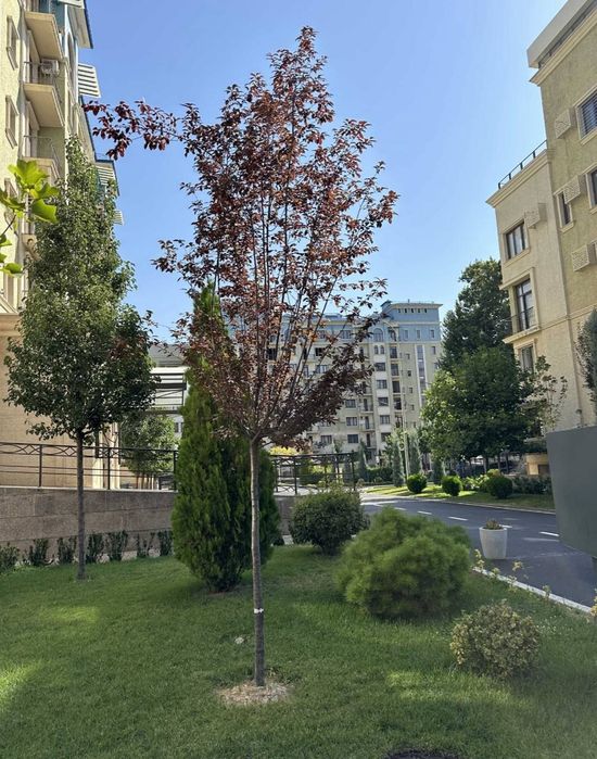 Продается 4х ком квартира, ЖК Янги Дархан, ор-р: Стадион Старт, 144м²