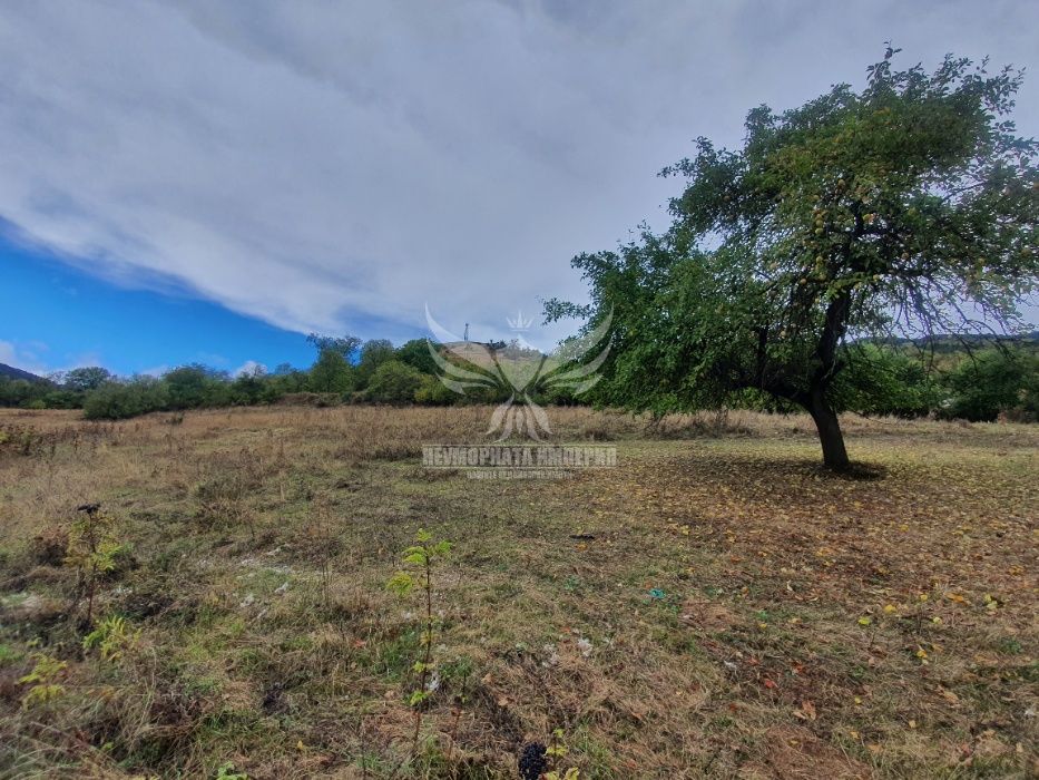 Продавам земя 524кв.м. с топ гледка до път в село Орехово обл.Смолян