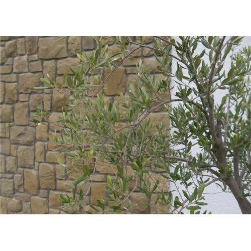 Piatra naturala/pavaj Rock Face Maro/piatra decorativa exterior