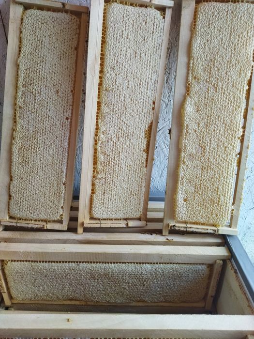 5000 кг. Продам.