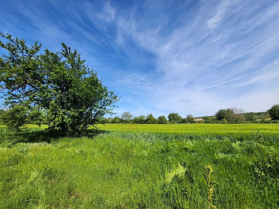 Продава се Парцел в Добрич, Христо Ботев - 1700 кв.м за 6 €/кв.м - Снимка #1