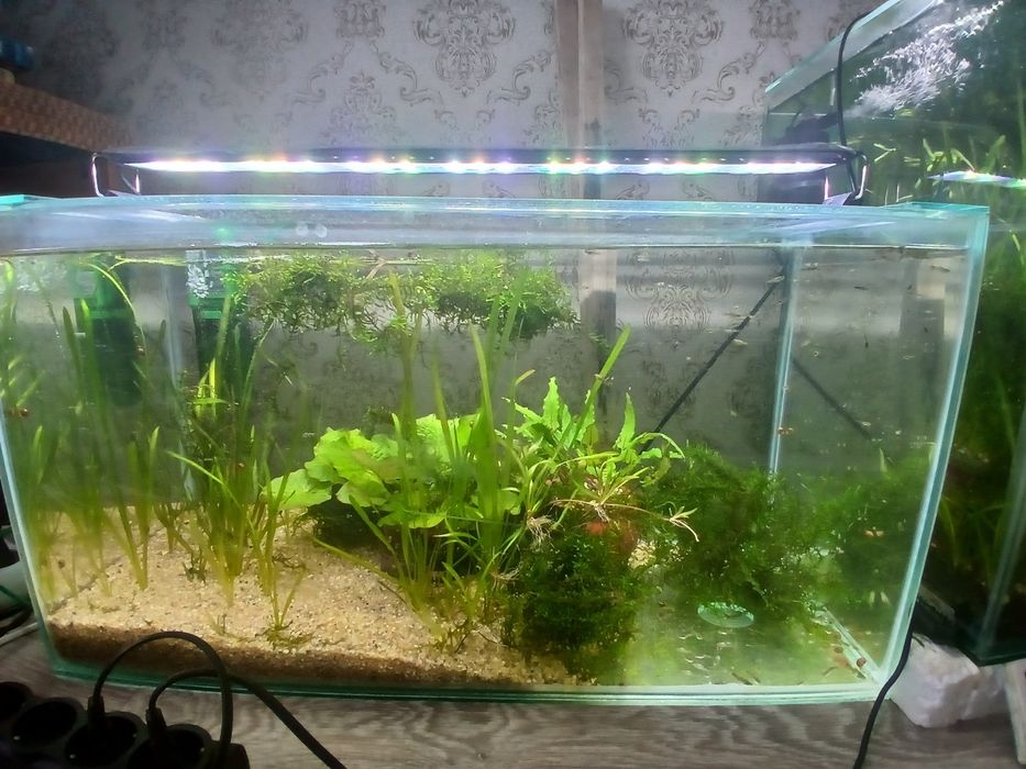 Продам аквариум 60 л с рыбками