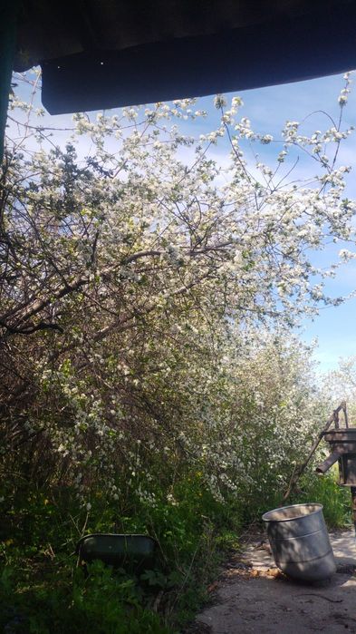 Дача восточный правый 5 дачи