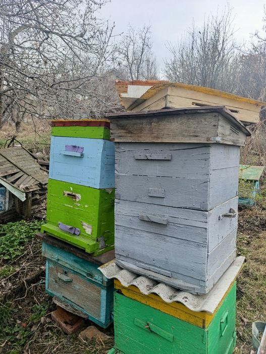 Улья для пчел  продам