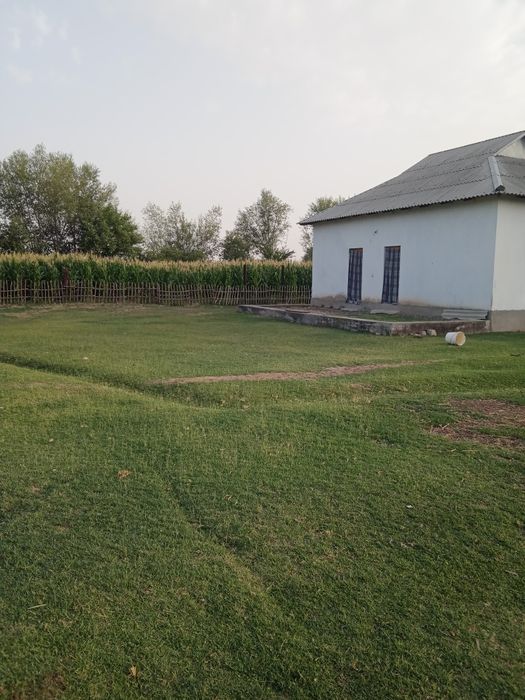 Үй сотилади, новостройка