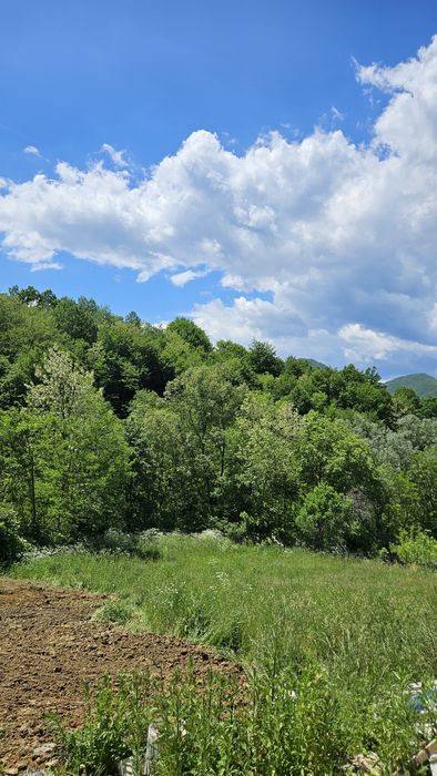 Ocazie! Casa la munte lângă Mănăstirea Cornet nod Autostrada Pitesti Sibiu
