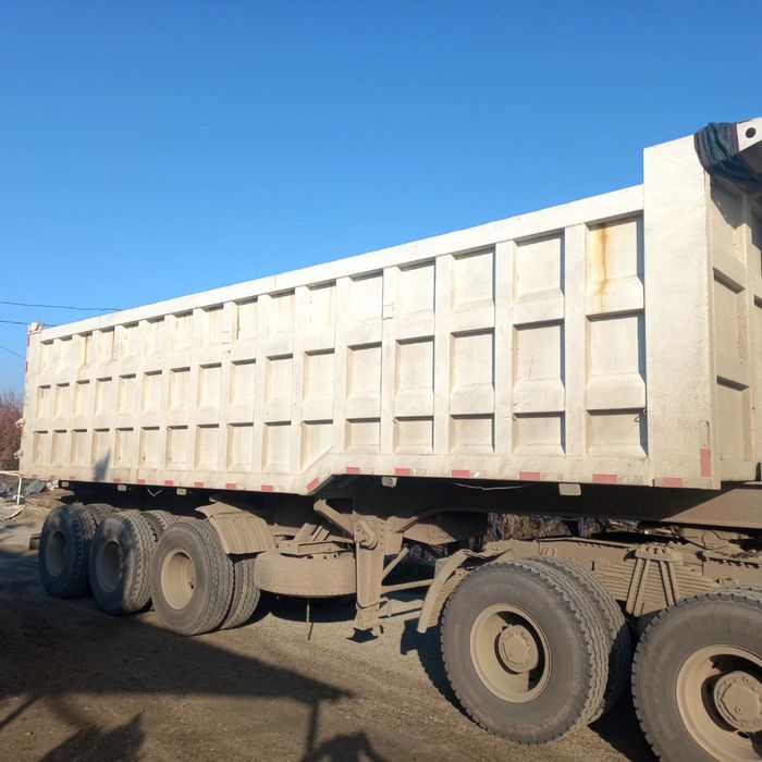 9 metelik Tonar somasval