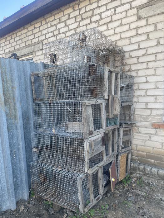 Клетка для цеплят