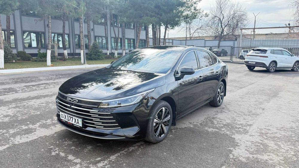 BYD CHAZOR 3 позиция 120 талик