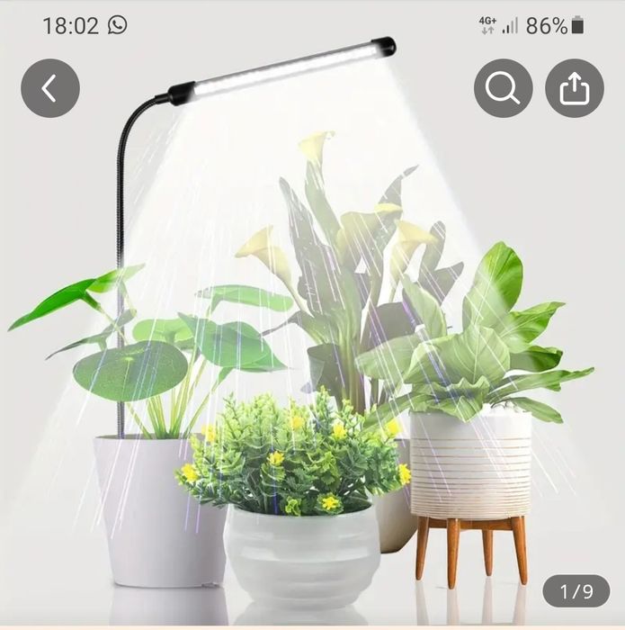 Светодиодная лампа