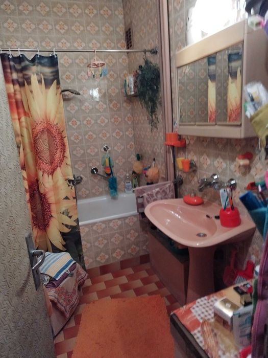 ТРИСТАЕН, Градска градина