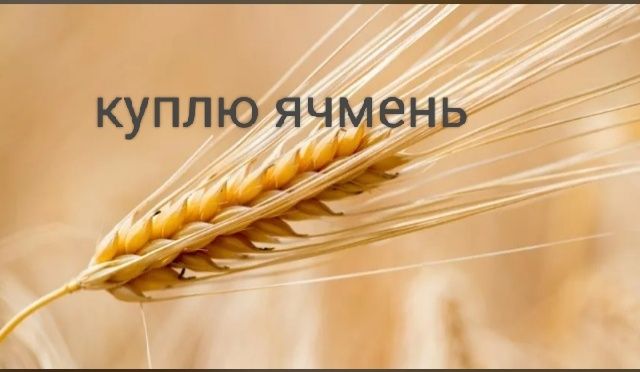 "Продам ячмень" Зерносмесь.