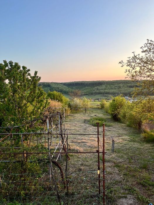 Teren 1433mp cu casa/anexe demolabile în Betfia