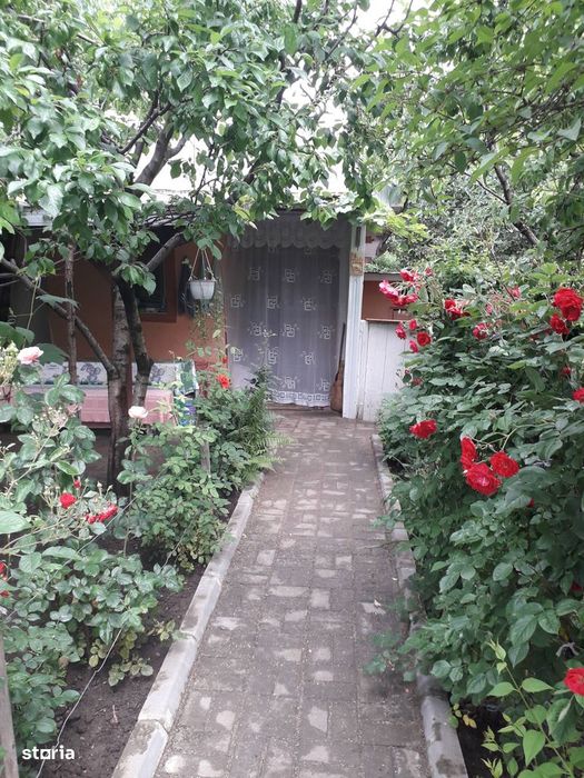 Vând grădină în Târgu Frumos