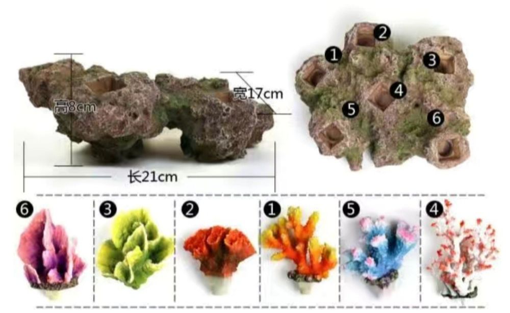 Шикарный коралл для аквариума