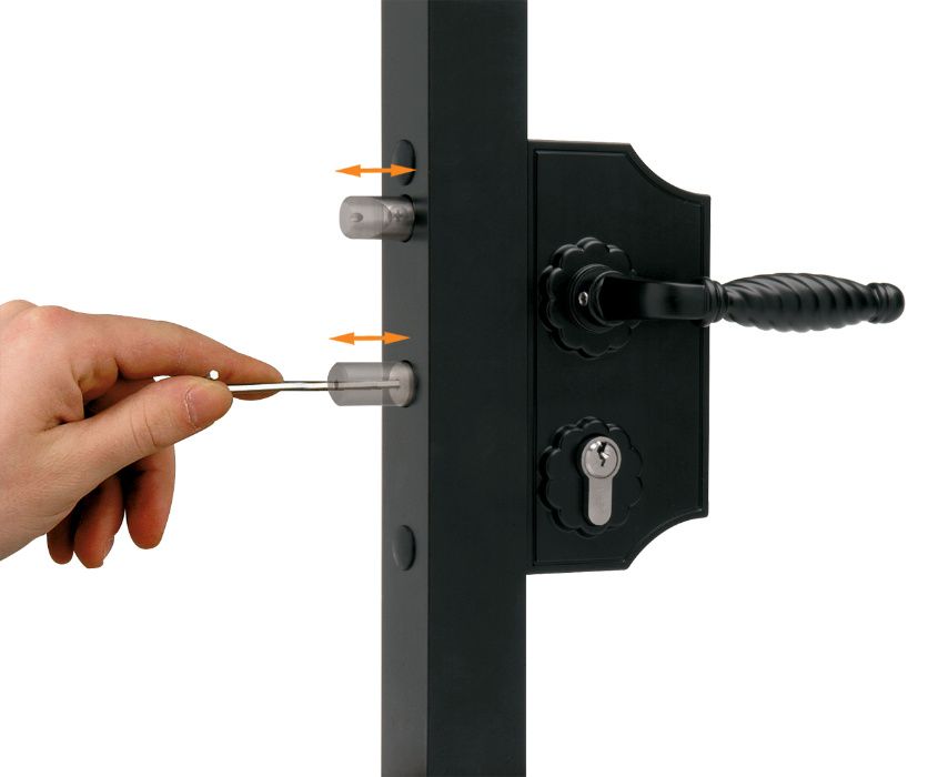 Incuietoare ornamentala porti fier forjat, broasca, feronerie Locinox