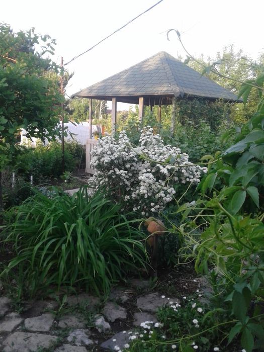 Продам красивую  дачу