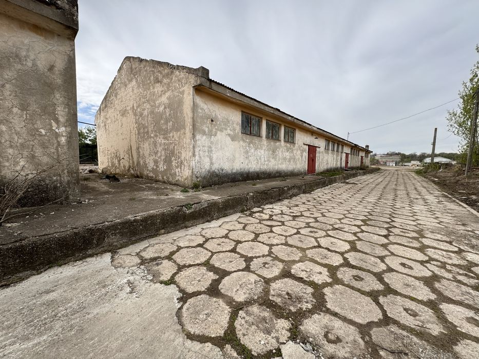 Vand Hala Productie/Depozitare Calea Prutului