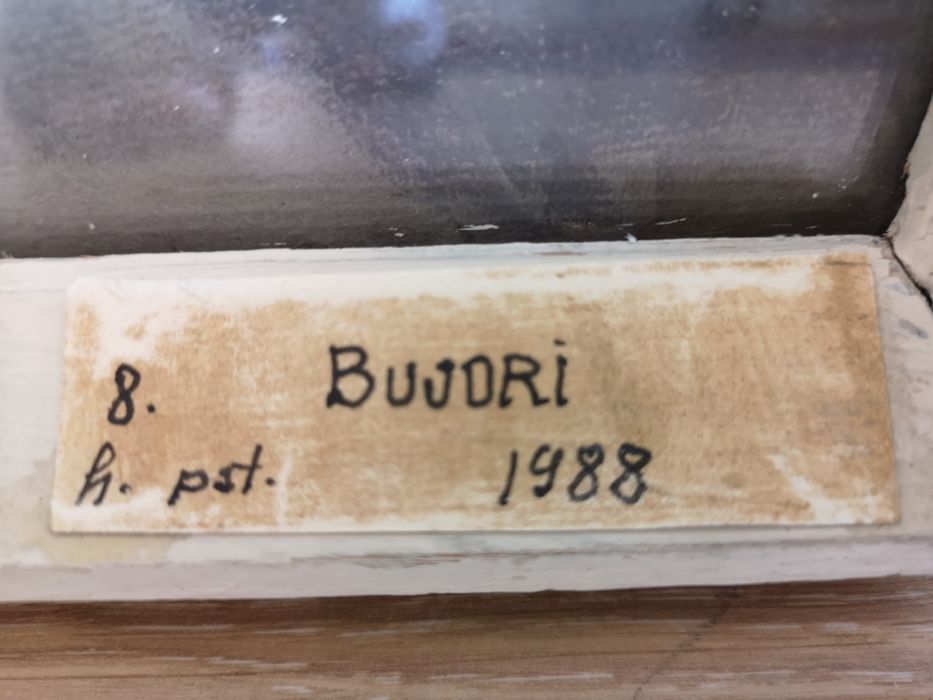 Tablou in creta pastel Bujori