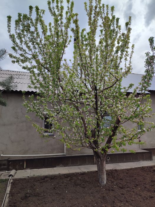 Продается теплый, уютный дом