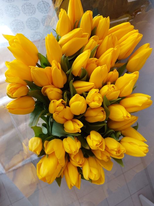 51 штук тюлпань дайын букет
