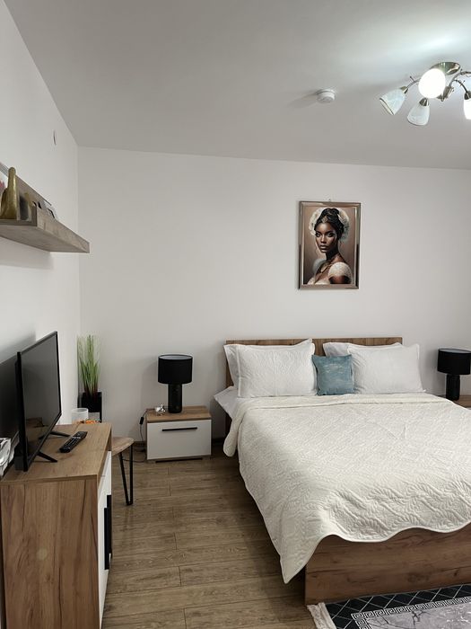 Casa Bocan Cazare si cu card de vacanta  Geoagiu -Bai Casa Bocan