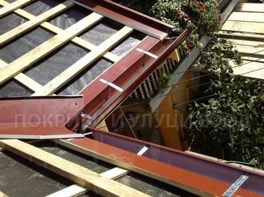 Американски бешевни улуци